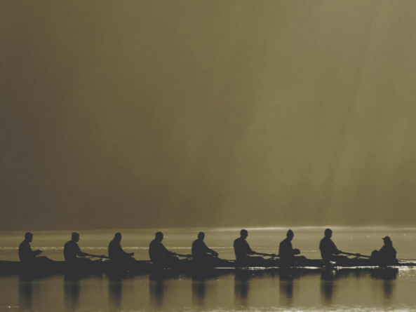 Image of a team of rowers on a river